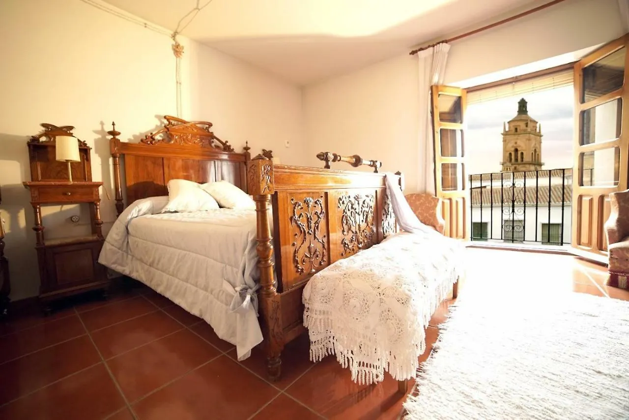 Homestay Palacete Magistral Dominguez Habitaciones Guadix Spain